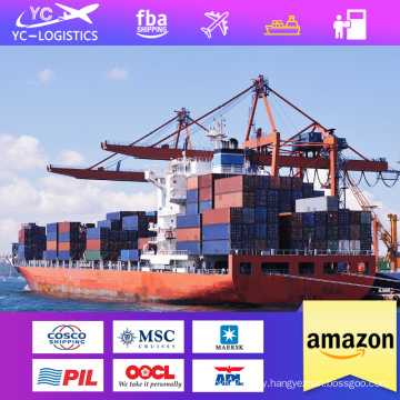 The cheapest freight forwarder sea freight DDP  from China to the UAE